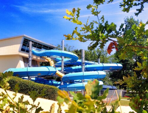 Bahn frei fürs Abenteuer: Rutschen & Action im WONNEMAR Bad Liebenwerda